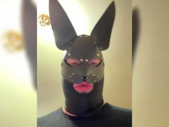 MadmenLovers webcam bongacams model stream image