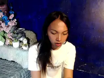 SimiLause webcam model stream image