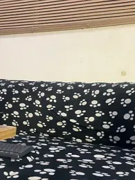 cody_fox10 webcam model stream image