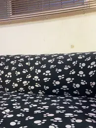 cody_fox10 webcam model stream image