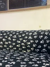 cody_fox10 webcam model stream image