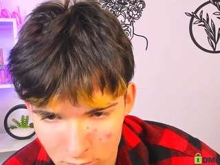 veldi-to webcam model stream image