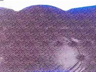 dolly-dirty webcam model stream image