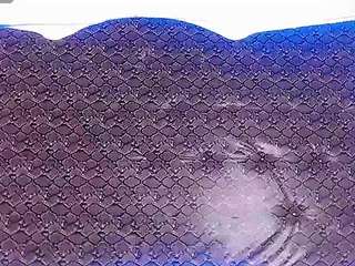 dolly-dirty webcam model stream image