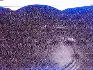 dolly-dirty webcam model stream image