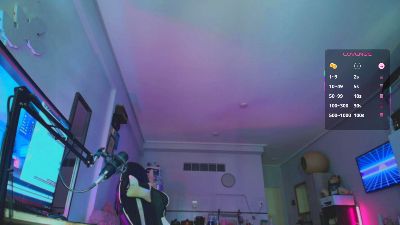 elzrd webcam model stream image