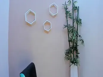 ASIAM_BRUNET webcam model stream image