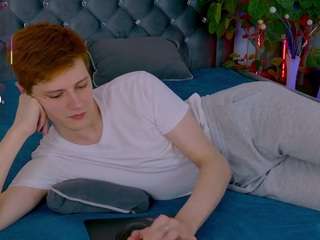 alertt webcam model stream image