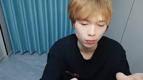 w5206t webcam model stream image