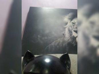 NoRules-Duo00 webcam model stream image