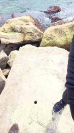 milferotika webcam cam4 model stream image