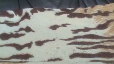 MucSuesser webcam model stream image