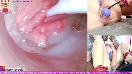 MaryBrook1 webcam stripchat model stream image