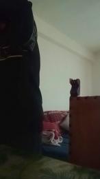 ilovepussy205 webcam cam4 model stream image