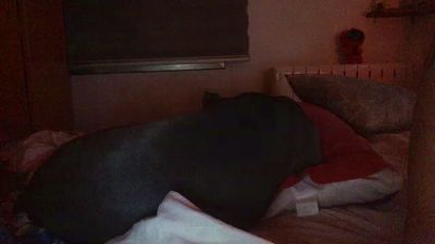 gorka19hot webcam cam4 model stream image