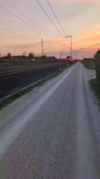 18cmdickforU webcam model stream image