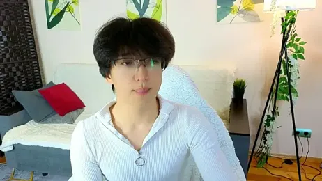 DianInav webcam model stream image