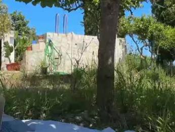 spanish_gym webcam chaturbate model stream image