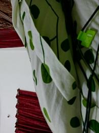 malluflash webcam model stream image