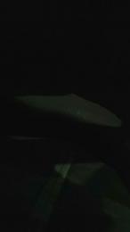 francesc1009 webcam model stream image