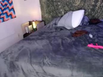 pairexe webcam model stream image