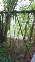 Socke72 webcam model stream image