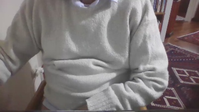 costan3 webcam cam4 model stream image