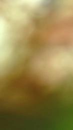 Freecumfre webcam model stream image