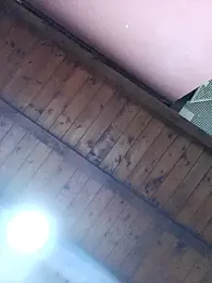 CurlyElisa webcam model stream image