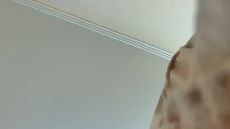 MiaAndWilliam webcam model stream image