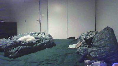 ElleestOuu webcam cam4 model stream image
