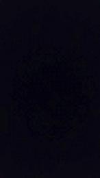 Landry84 webcam cam4 model stream image