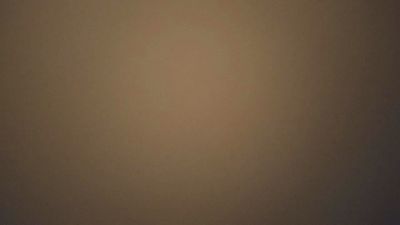 Pedritopalote webcam cam4 model stream image