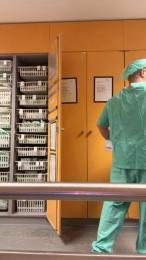 Michback webcam model stream image