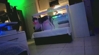 HuGo4K webcam cam4 model stream image