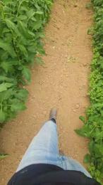 jo23_xxx webcam cam4 model stream image