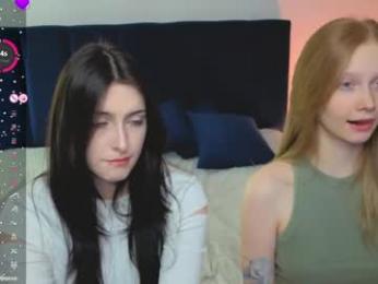 bjliki webcam model stream image