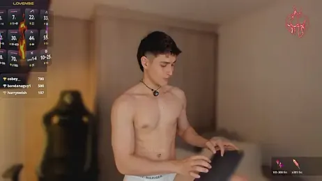 thomklein webcam model stream image