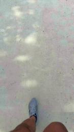 MA2022 webcam model stream image