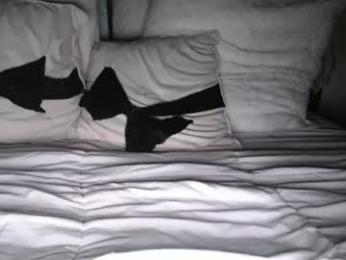 bigdicktrannynicole webcam chaturbate model stream image