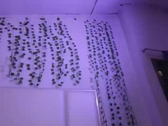 emma_johnson_ webcam chaturbate model stream image