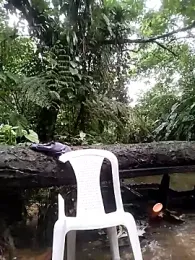 Kesurra webcam model stream image