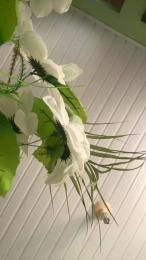 Morenonicexxxl webcam model stream image