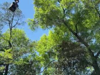 hottmay webcam model stream image