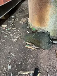 Black-mamba-madingo webcam model stream image