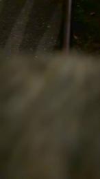 Nolino20 webcam model stream image