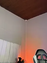 Samir_bear webcam model stream image