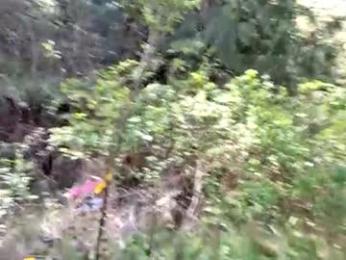 info_chat webcam model stream image