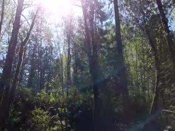 info_chat webcam model stream image