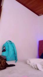 Gh4nima webcam model stream image